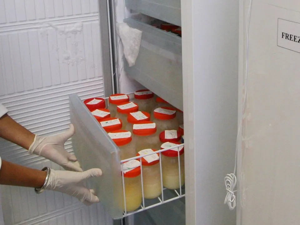 Gaveta de freezer com frascos de vidro de tampa vermelha, cada um com etiqueta